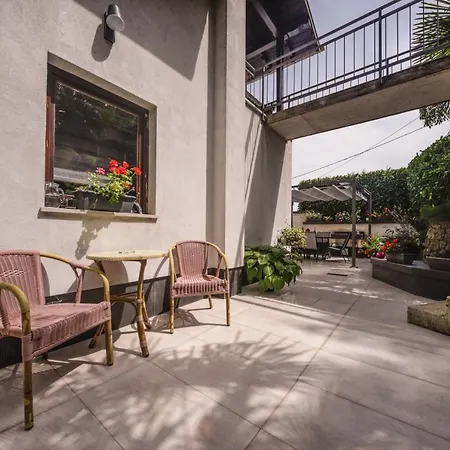 Nikola * Матульи