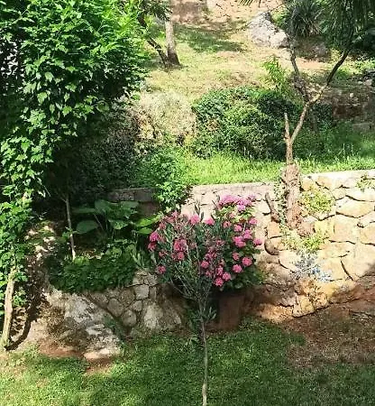 Nikola Apartman *